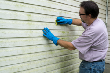 Siding Damage