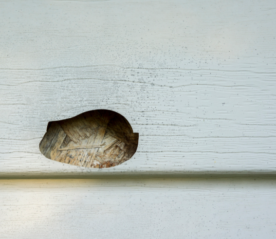 Catching siding damage